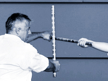G�nter Painter zeigt Jujutsu- und Kobudo-Techniken